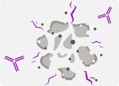 VYLOY helps the immune system to kill cancer cells.